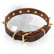 Newfoundland Leather Collar Brass Spikes 3/4 Inch