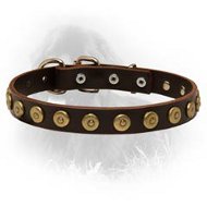 Newfoundland Leather Collar Brass Dotted Circles