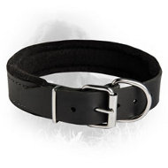 Newfoundland Durable Padded Leather Collar 40 mm