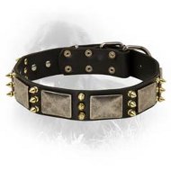 Newfoundland Spiked Leather Collar with Nickel Plates