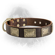 Leather Newfoundland Collar with Massive Brass Plates