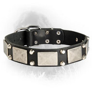 Newfoundland Leather Collar Decorated Nickel Cones Plates