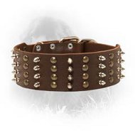 Wide Spiked and Studded Newfoundland Leather Collar