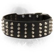 Newfoundland Studded Leather Collar 50 mm