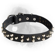 Fancy Design Leather Collar with Nickel Pyramids