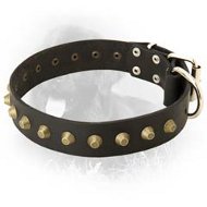 Newfoundland Leather Collar with Brass Pyramids
