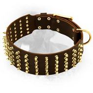 Newfoundland Spiked Extra Wide Leather Collar