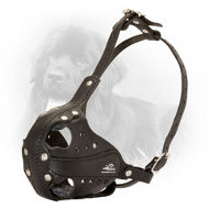 Comfortable Leather Newfoundland Muzzle for Service Dogs
