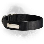Any Weather Newfoundland Nylon Collar with Name Tag