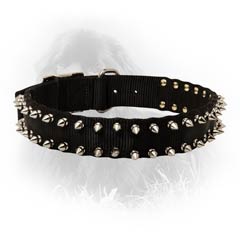 Newfoundland Nylon Collar Spiked
