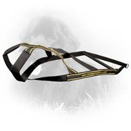 Nylon Newfoundland Harness for Weight Pulling  Nylon Newfoundland Harness for Weight Pulling