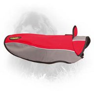 Warm Newfoundland Coat for Cold Weather Walks