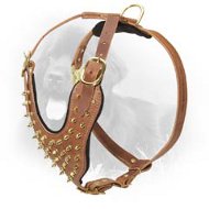 Leather Newfoundland Harness Decorated with Brass Spikes