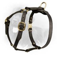 Leather Newfoundland Harness for Working Dogs