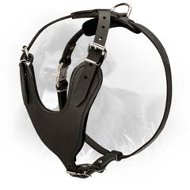 Leather Newfoundland Harness for Walking and Pro Training