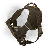 Multipurpose Nylon Newfoundland Harness for Everyday Use  Multipurpose Nylon Newfoundland Harness for Everyday Use