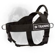 Universal Nylon Newfoundland Harness with ID Patches  Universal Nylon Newfoundland Harness with ID Patches