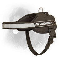 Professional Nylon Newfoundland Harness for Different Activities