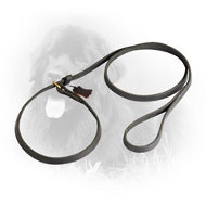 Perfect Combination Leather Newfoundland Choke Collar and Leash