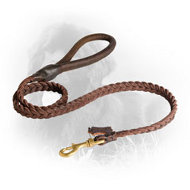 Braided Leather Newfoundland Leash for Everyday Use