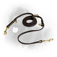 Multipurpose Leather Newfoundland Leash