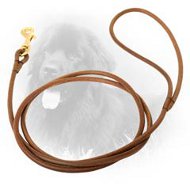 Round Leather Newfoundland Leash for Dog Shows