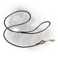 Elegant Round Leather Newfoundland Leash for Dog Shows