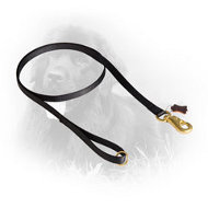 Multipurpose Nylon Newfoundland Leash for Daily Use