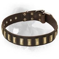 Newfoundland Leather Collar Small Brass Plates