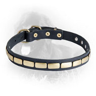 Newfoundland Leather Collar Brass Plates 25 mm