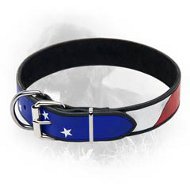 Newfoundland Leather Collar With Handcrafted American Flag Painting