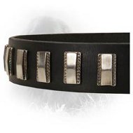 Newfoundland Leather Collar with Shiny Plates
