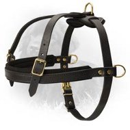 Leather Newfoundland Harness for Tracking and Pulling  Leather Newfoundland Harness for Tracking and Pulling