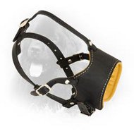 Snout Shot Leather Newfoundland Muzzle with Soft Nappa Padding