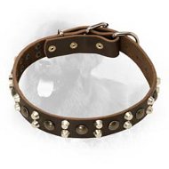 Newfoundland Collar With Studs and Pyramids Decorated Leather