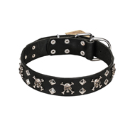 FDT Artisan 'Rock 'n' Roll Style' Fancy Leather Newfoundland Collar with Skulls, Bones and Studs 1 1/2 inch (40 mm) wide