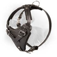 Easily Adjustable Comfy Leather Newfoundland Harness  Easily Adjustable Comfy Leather Newfoundland Harness