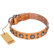 'Extra Sparkle' FDT Artisan Handcrafted Newfoundland Tan Leather Dog Collar