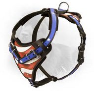 Patriotic Leather Newfoundland Harness with USA Flag Painting