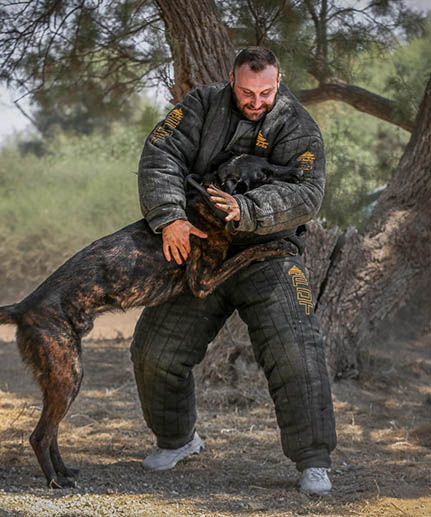 newfoundland best protection dog bite jacket FDT black