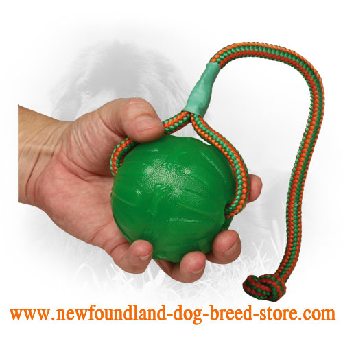 Foam Newfoundland Ball for Chewing Purposes
