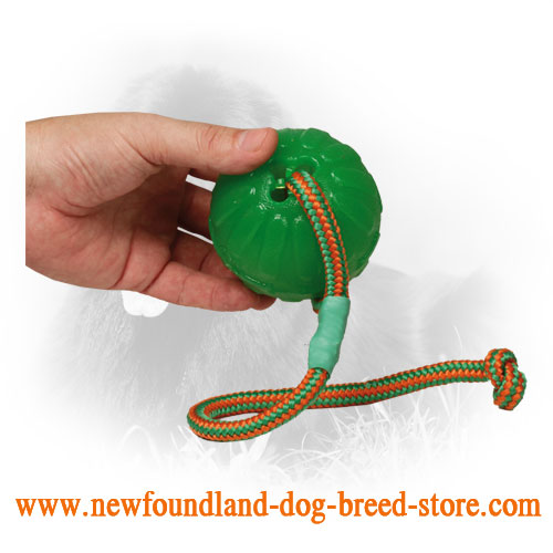 Foam Newfoundland Ball with Strong Nylon String