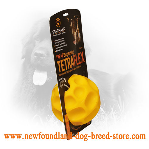 Chewing Tetraflex Newfoundland Ball
