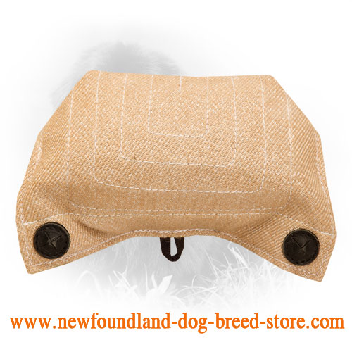 Dog-Safe Jute Newfoundland Bite Builder with Two Handles