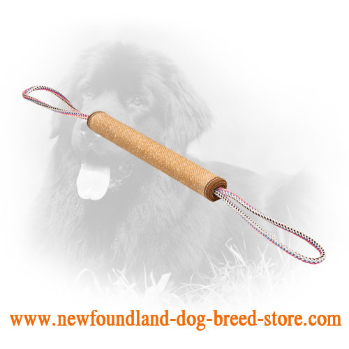 Jute Newfoundland Bite Roll Meant for Puppy Training