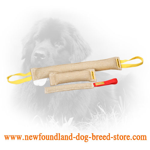 Jute Newfoundland Bite Training Set of 3 Tools