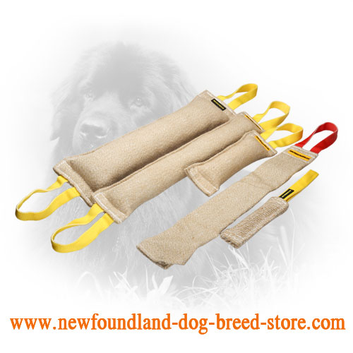 Jute Newfoundland Bite Training Set for Adult Dogs