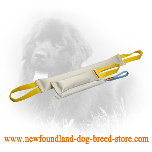 Fire Hose Newfoundland Bite Training Set of 3 Dog Items