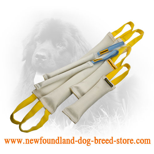 Fire Hose Newfoundland Bite Training Set of 6 Dog Items