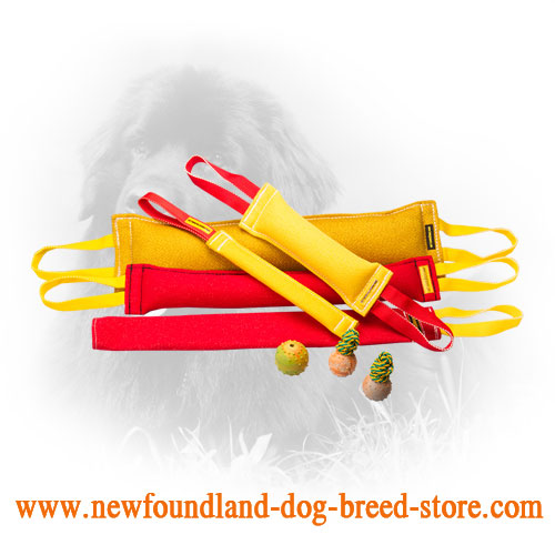 French Linen Newfoundland Bite Training Set